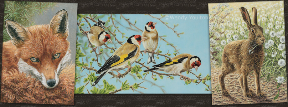 Red fox, Goldfinches & Morning Hare