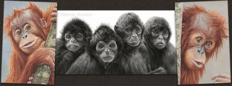 Arga, Faye, Kiara, Mary & Chrissie